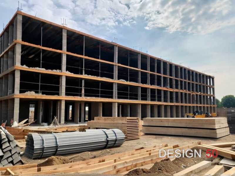 Оценка состояния древесины