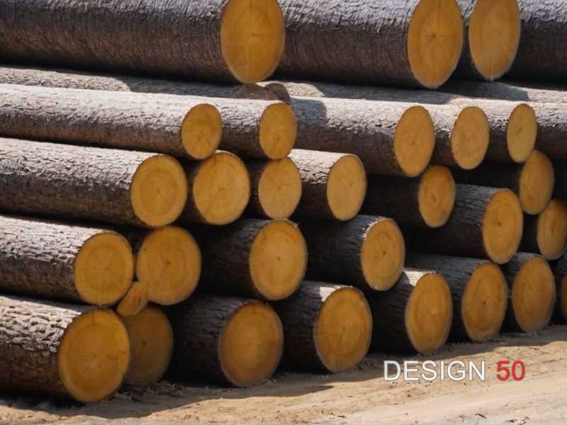 Выбор безопасных пород дерева для детской мебели